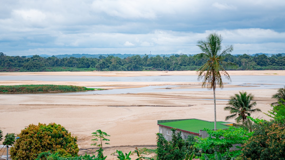 Gabon forest interior, Congo basin