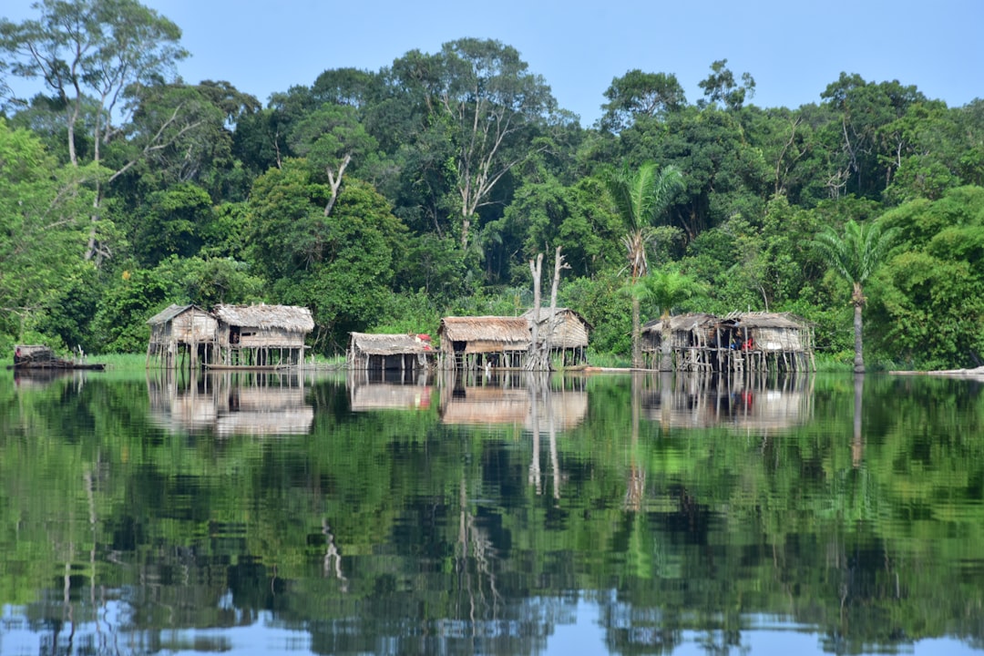 Pongara National Park, Gabon coast and mangroves